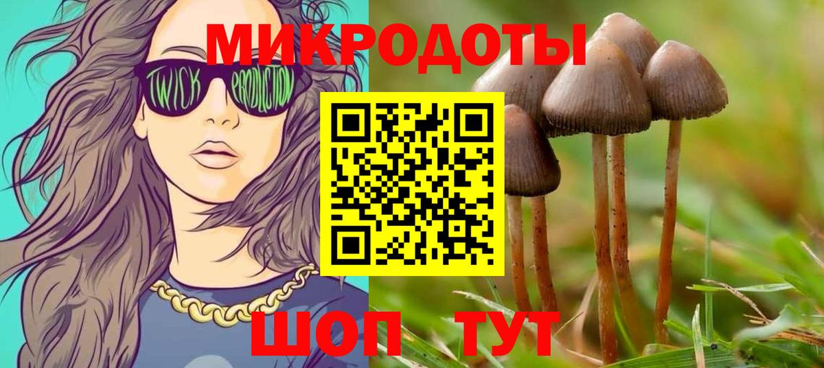 Королёв  Псилоцибиновые грибы GOLDEN TEACHER  Псилоцибиновые грибы Psilocybe  Вход с VPN 
